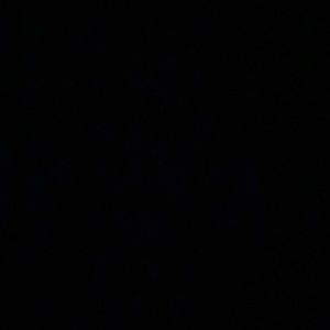 Meet your Posher, Sophia